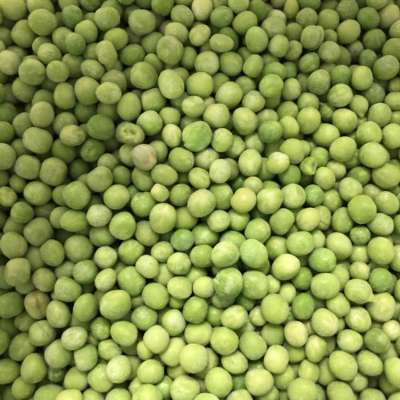 iqf frozen green pea  for frozen mixed vegetables from china